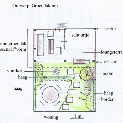 Groendaktuin1