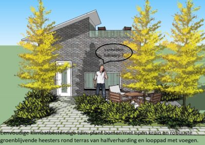 Eenvoudige klimaatbestendige tuin: plant bomen met open kruin en robuuste groenblijvende heesters rond terras van halfverharding en looppad met voegen.